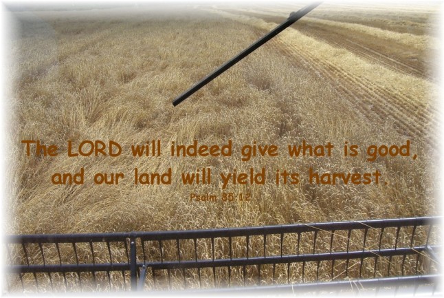 harvest_view_with_scripture
